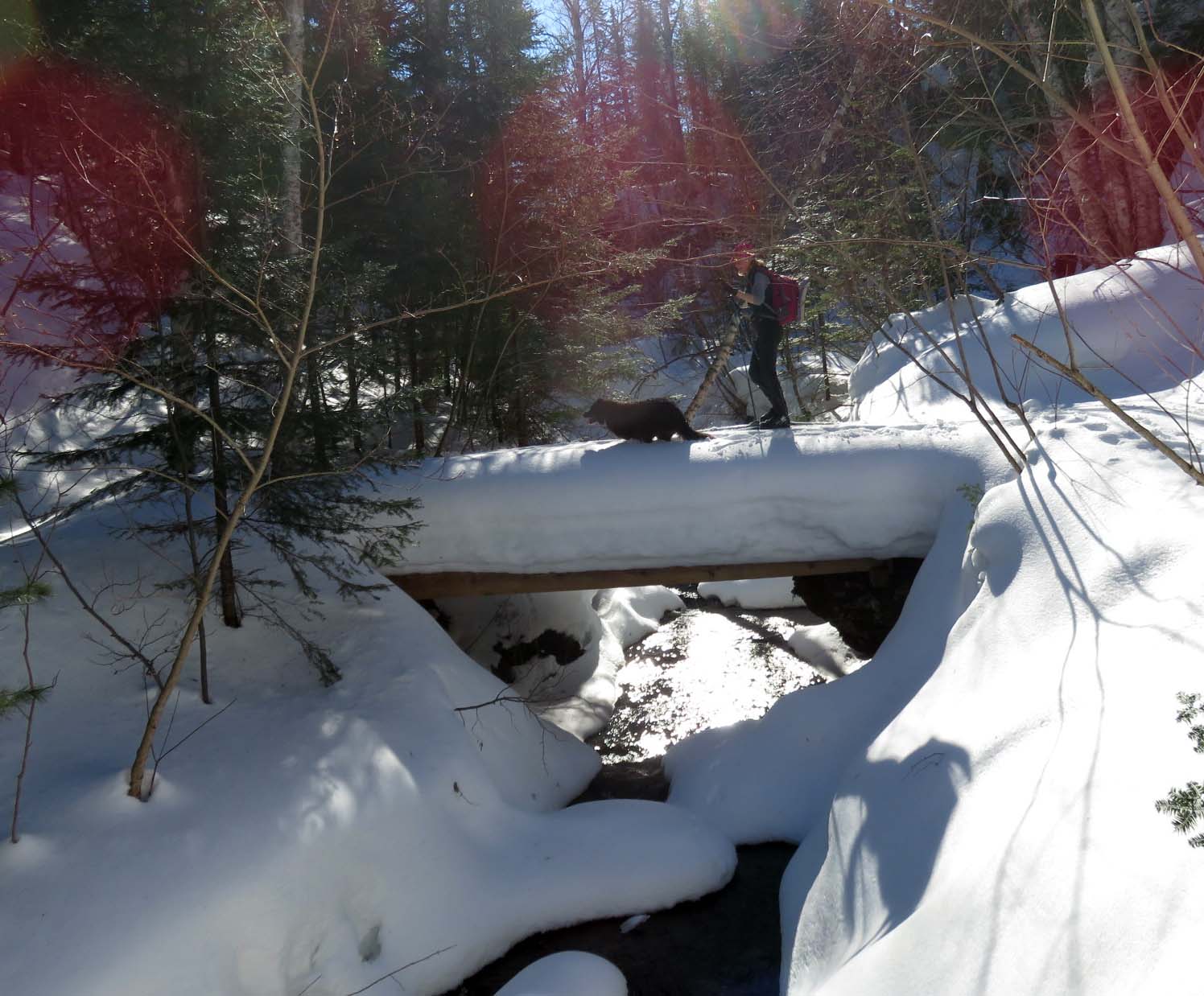 CHsnow39.jpg