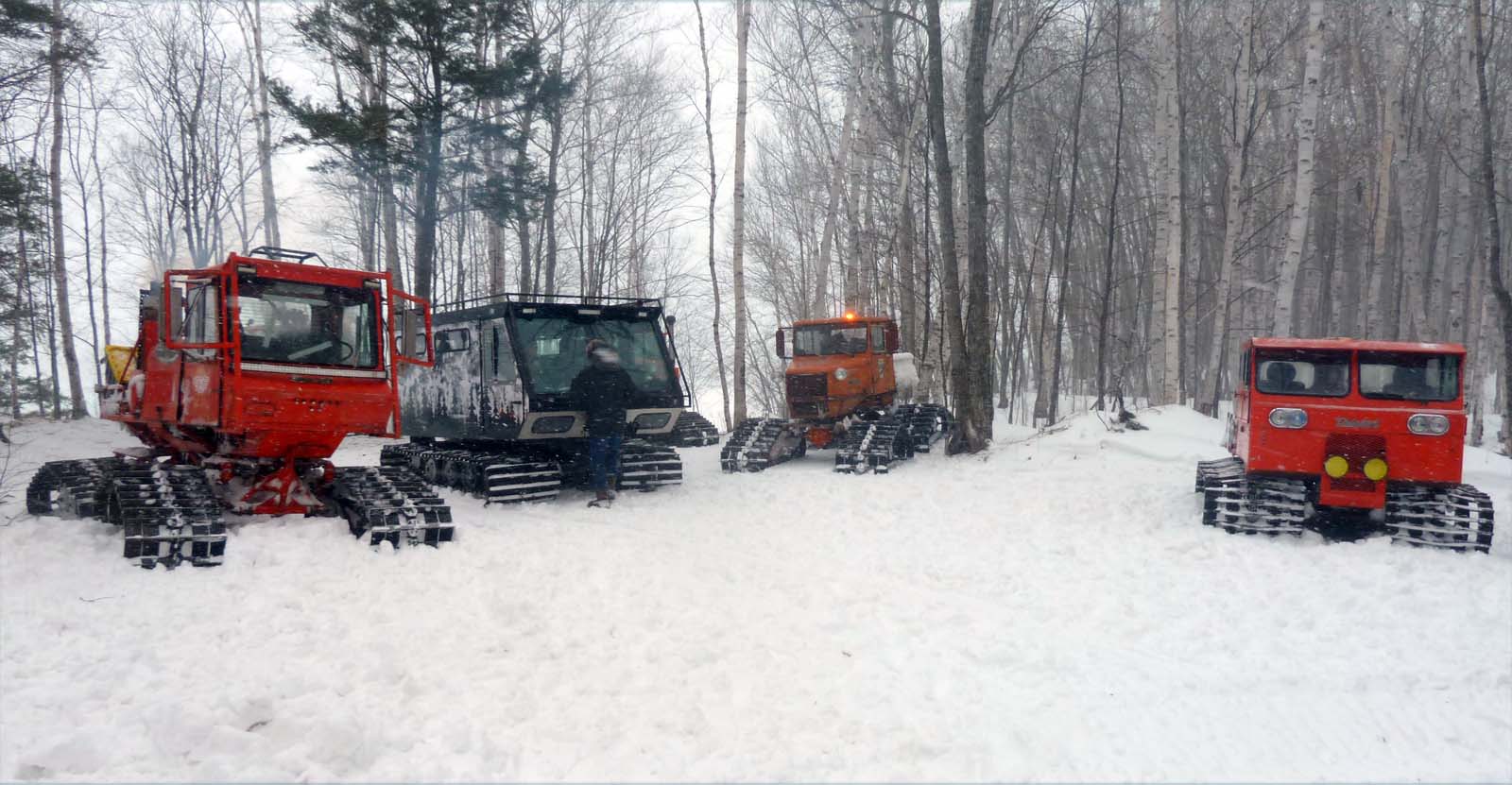 oldcatslake467.jpg