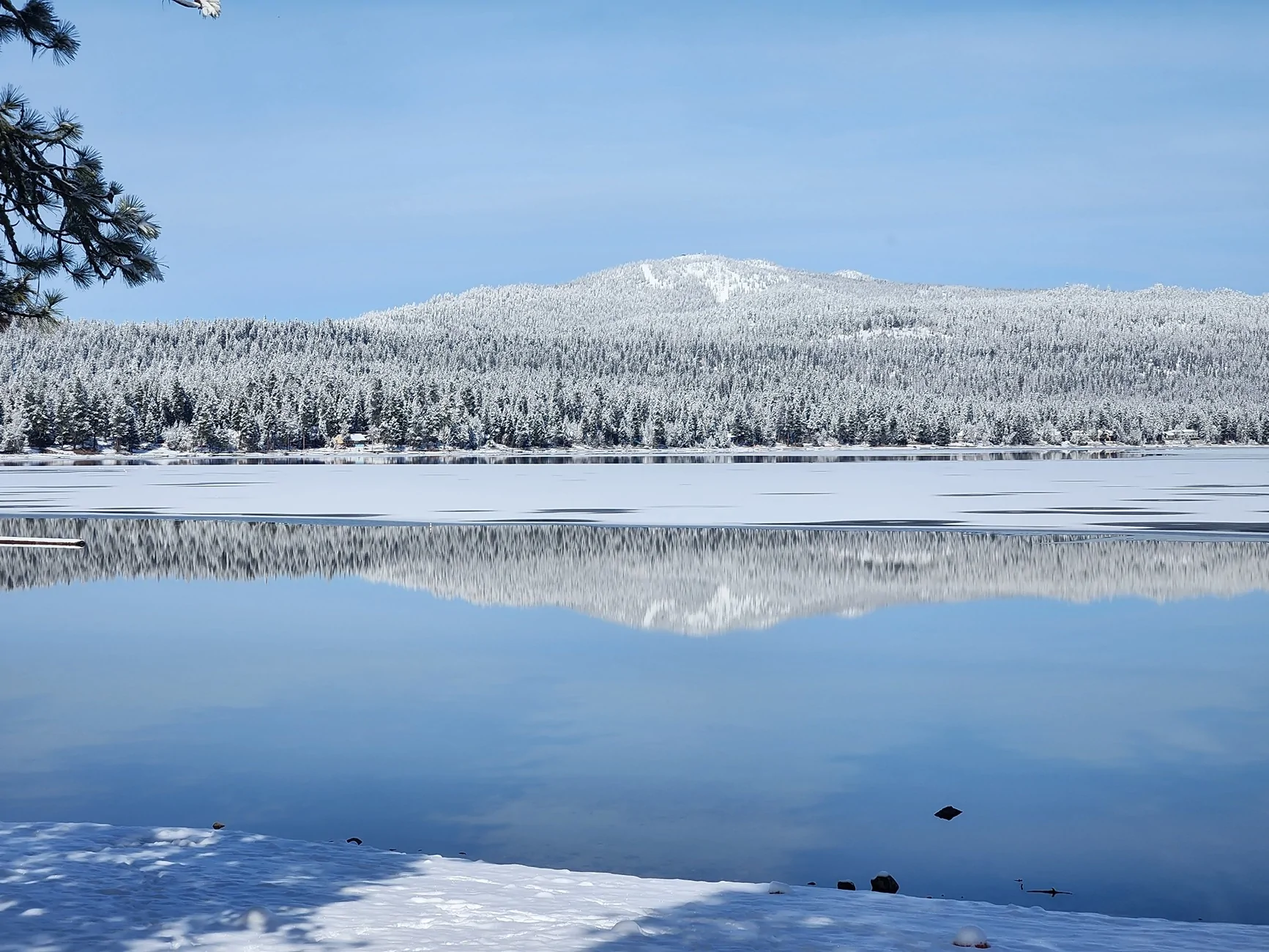 brundage.webp