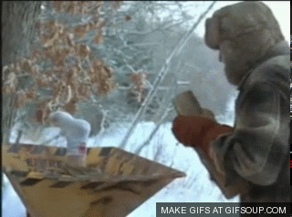 IMG_20260215_154154.gif