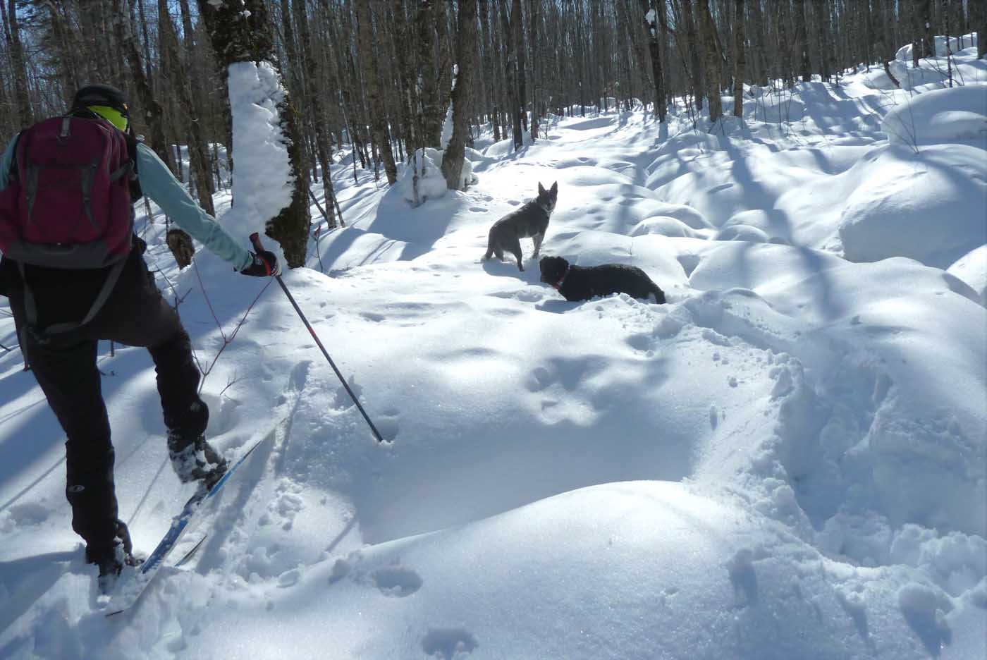 campsnow0834.jpg