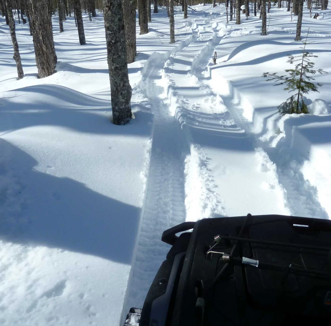 4x4trailsearch933.webp