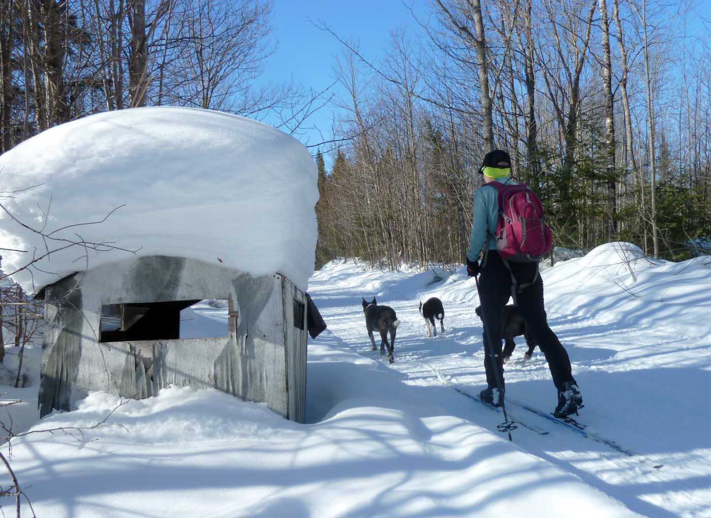 campsnow884.jpg
