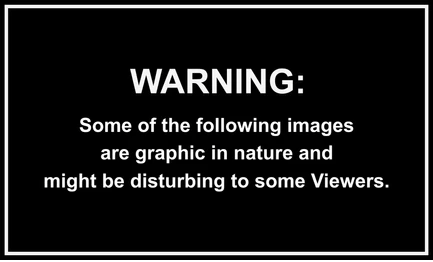 graphic-image-warning-message-written-260nw-2186348797.webp