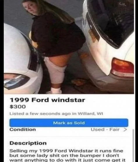 Windstar.webp