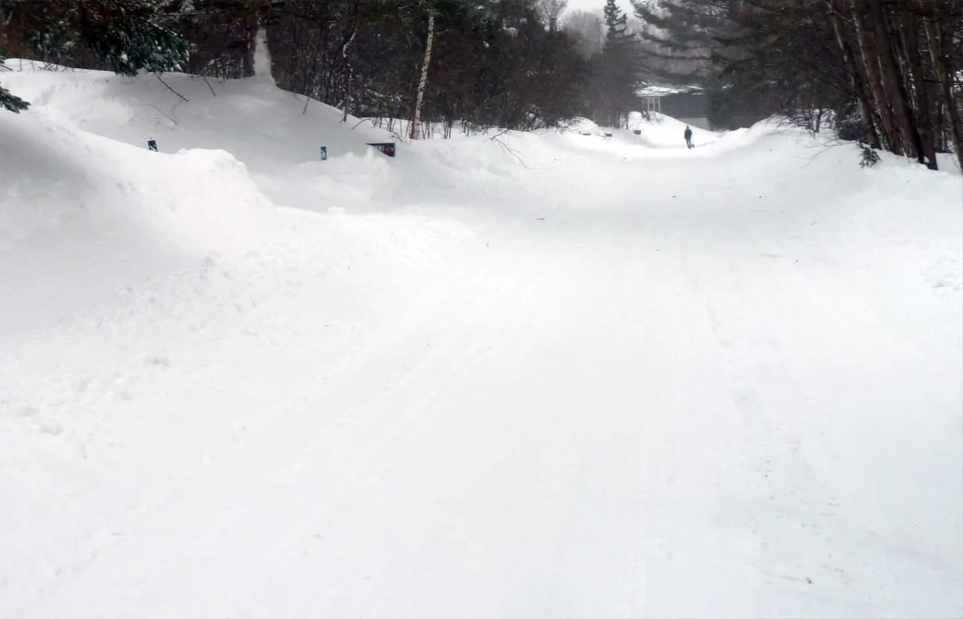 snow0028.webp