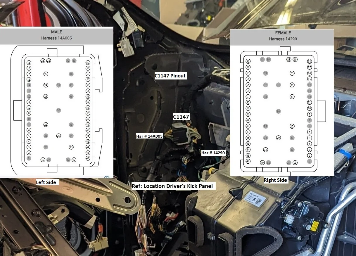 C1147 Detailed.webp
