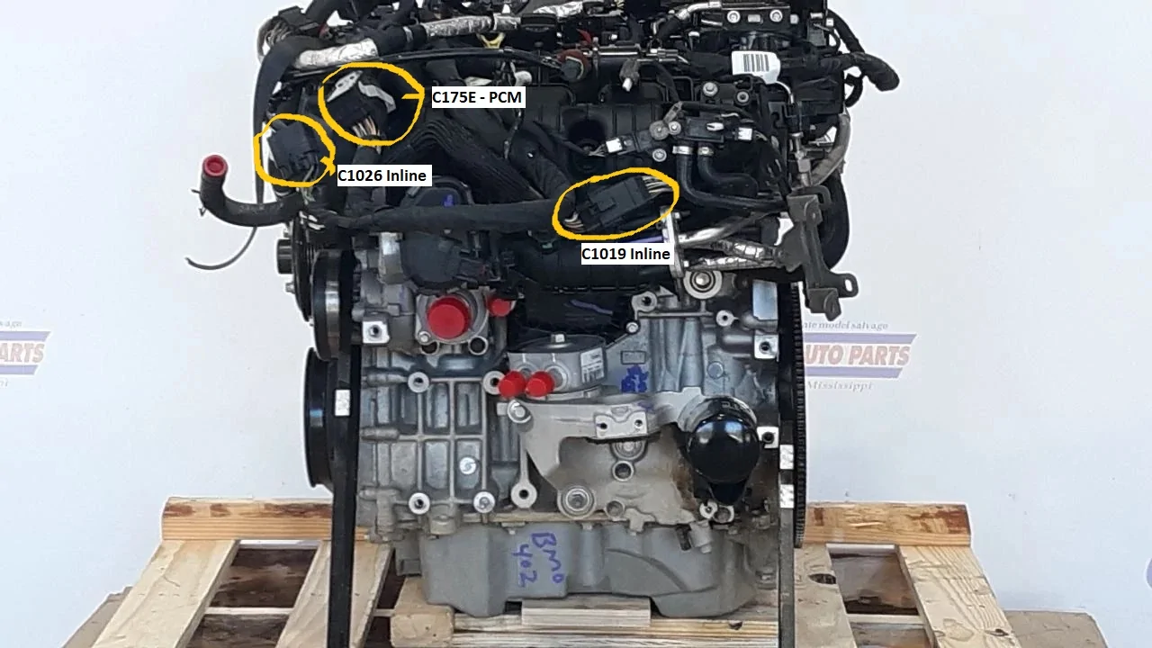 C1026 - C1019 Locations LH Engine - Copy.webp