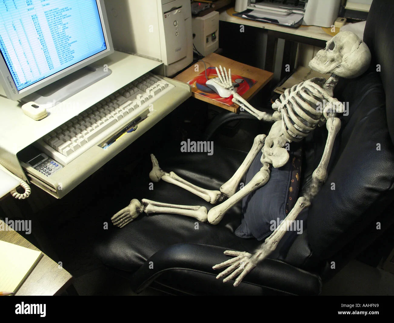 skeleton-using-a-computer-AAHFN9.webp