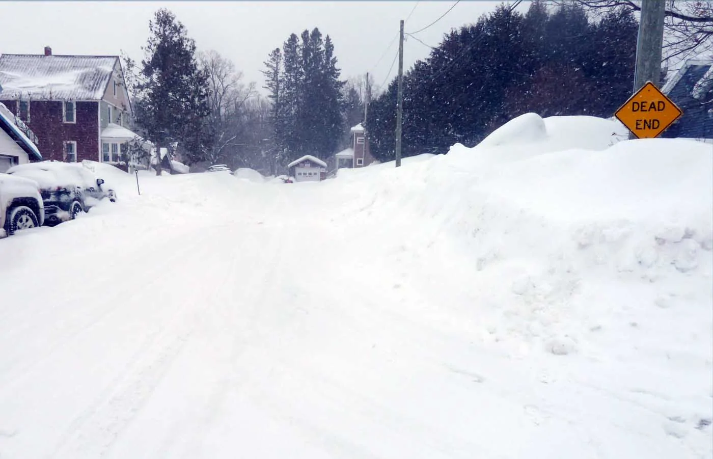 snowcopper097.webp