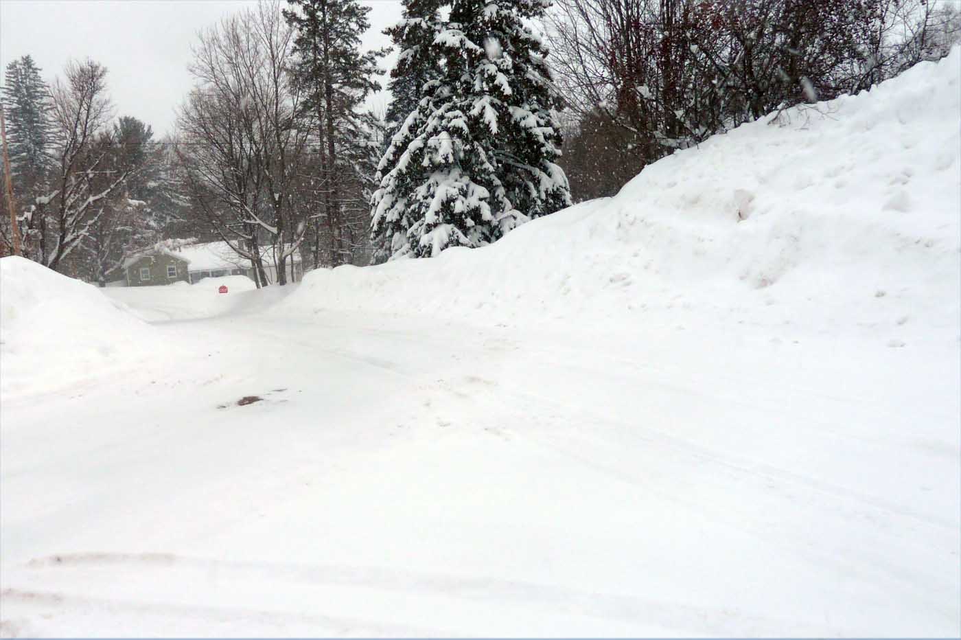 snowcopper93.jpg