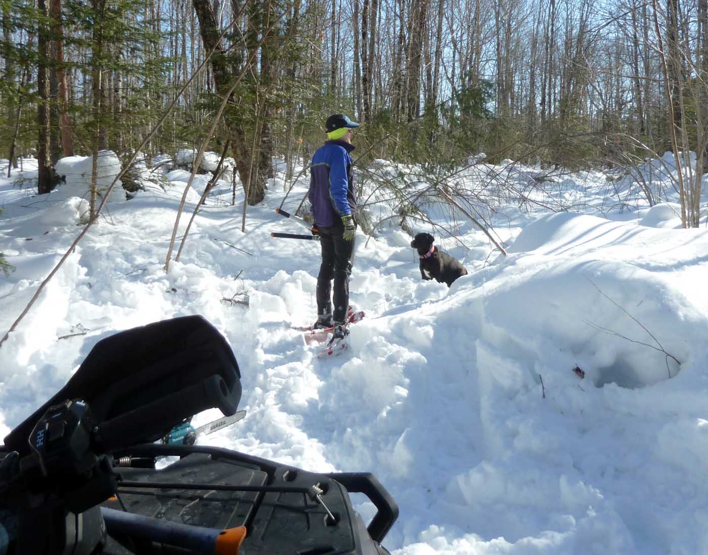 campbrushing0939.jpg