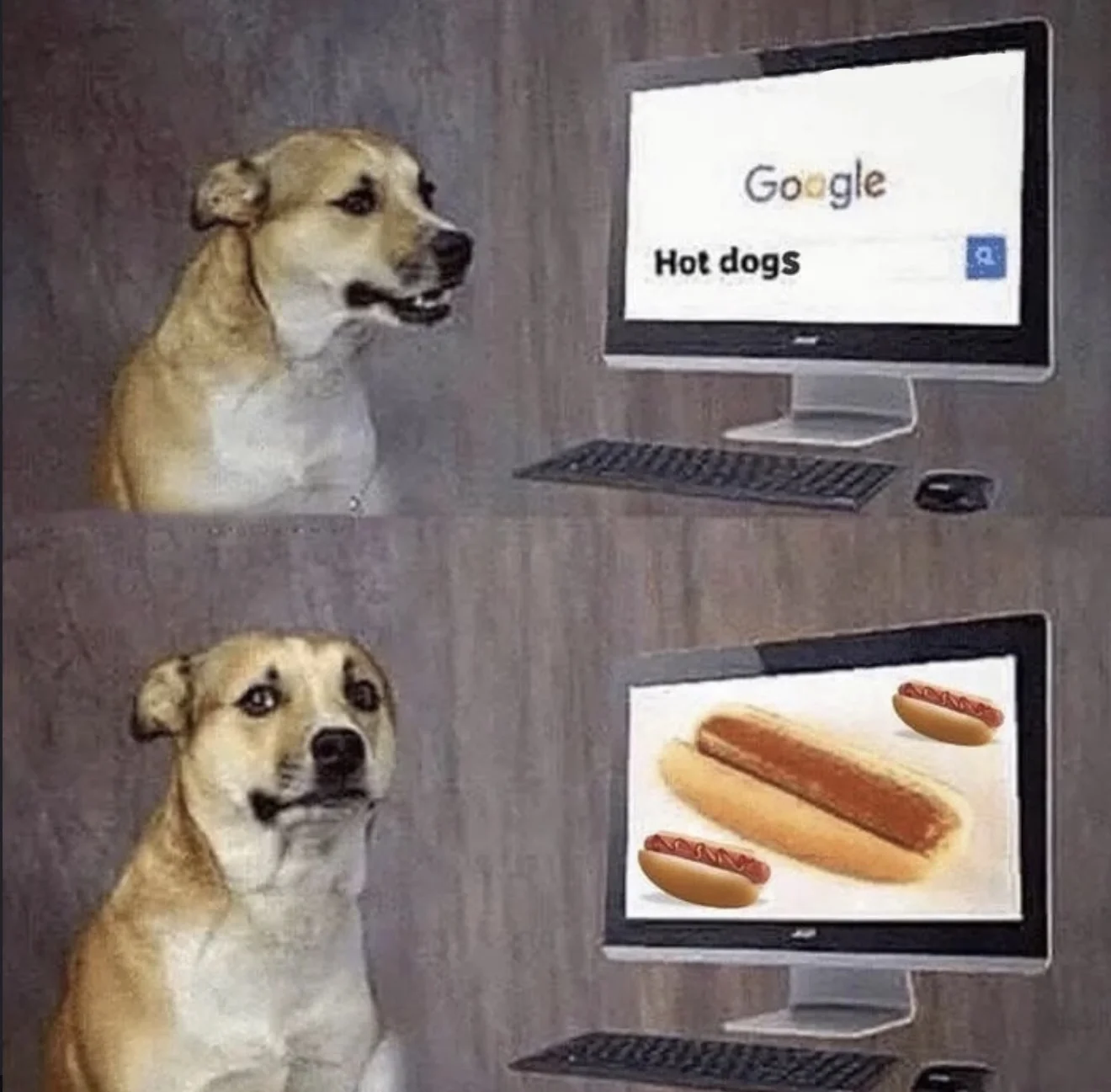 Hot Dogs.webp