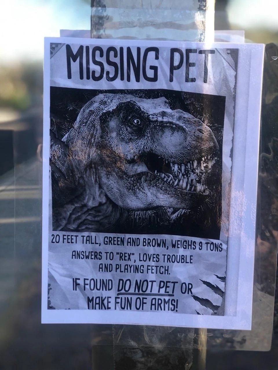 Missing Pet.webp