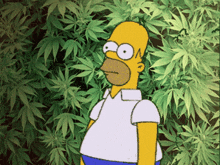 homer-in-the-weeds.gif