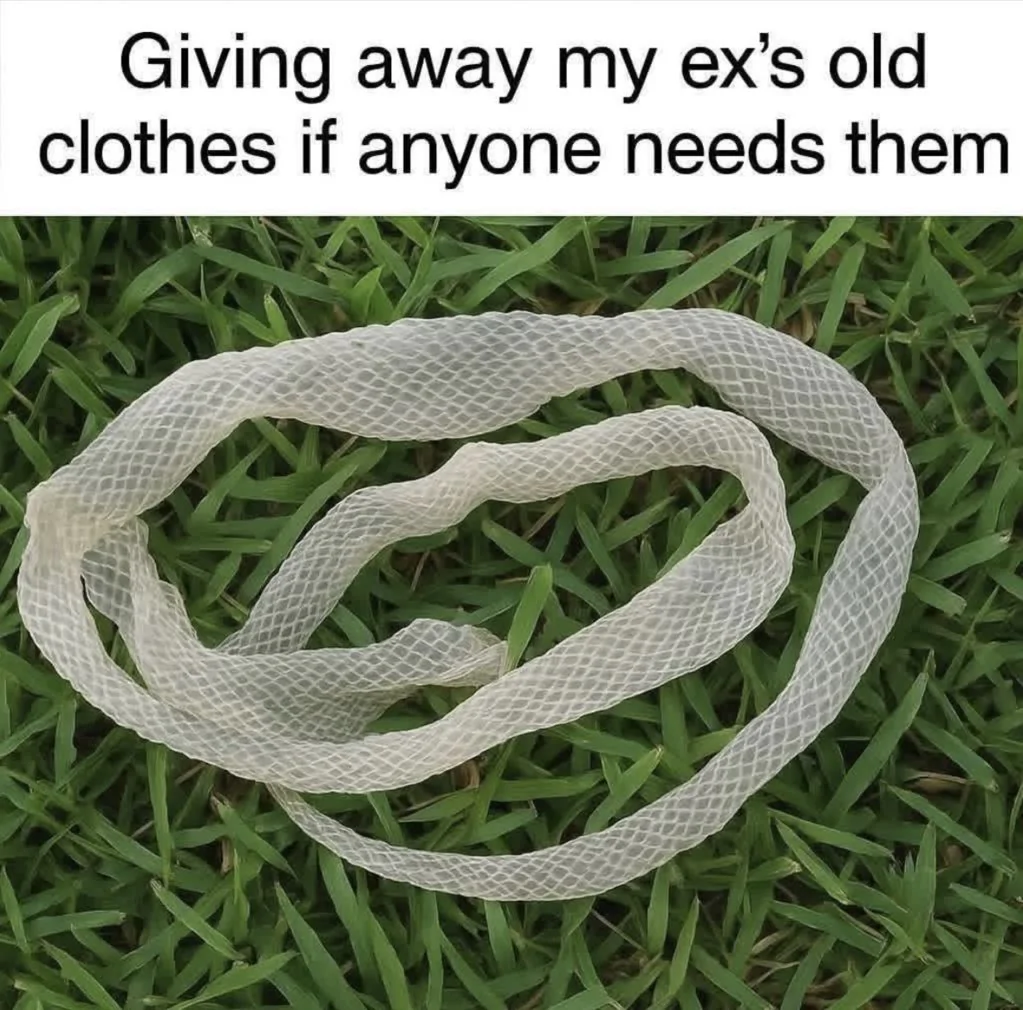 Old Clothes.webp