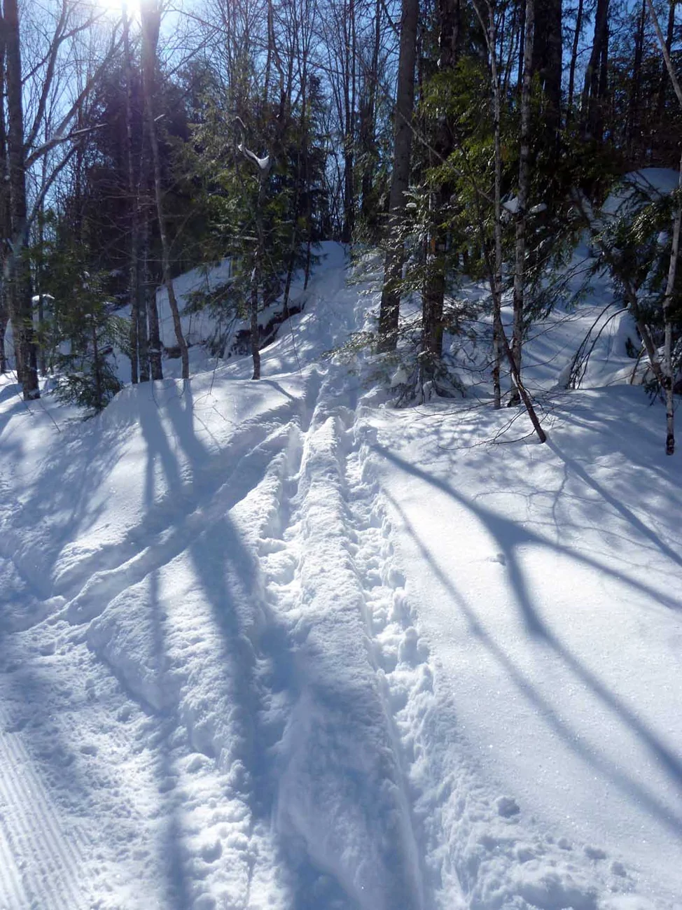 campskibluff696.webp