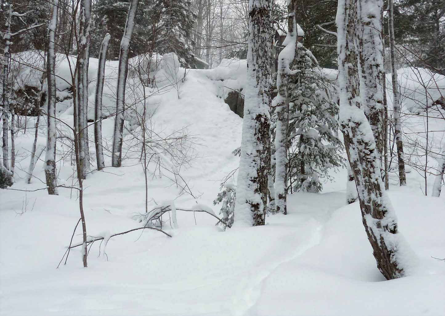 campsnowdump638.jpg