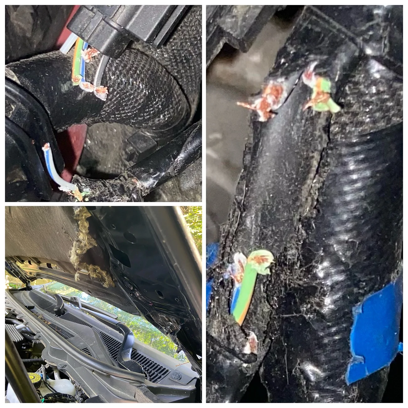 IMG_6510.webp