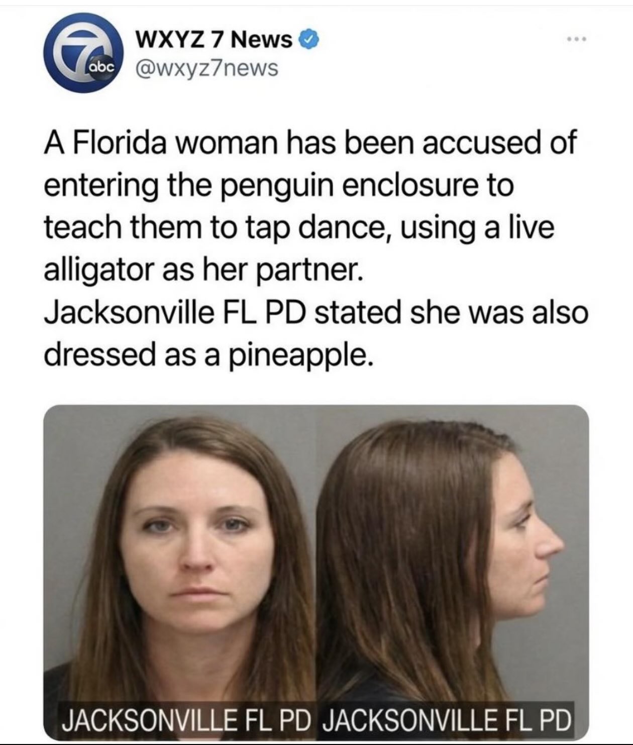 HDiQfszXYAAUQRy?format=jpg&name=large.jpg