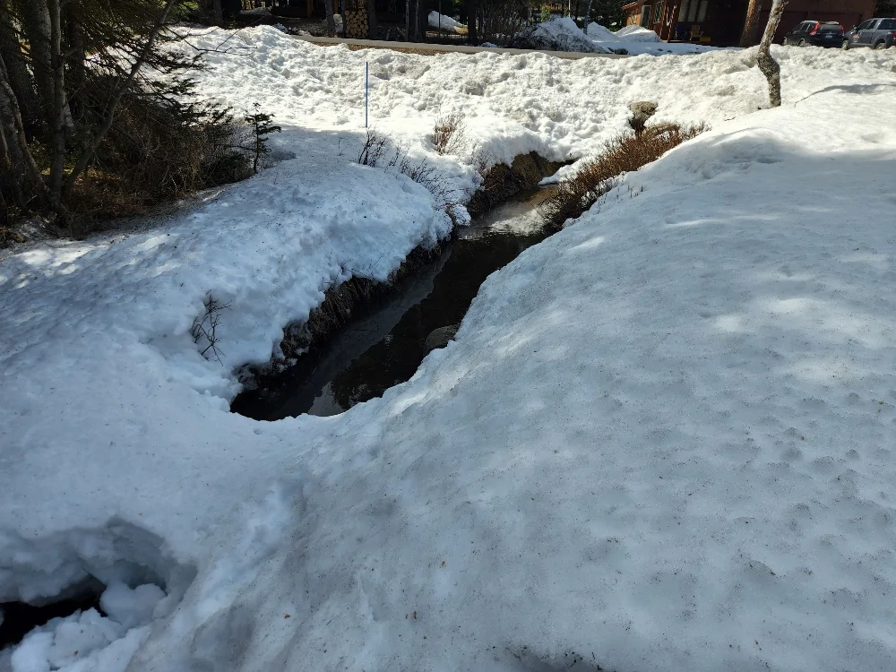 creek 032226.webp
