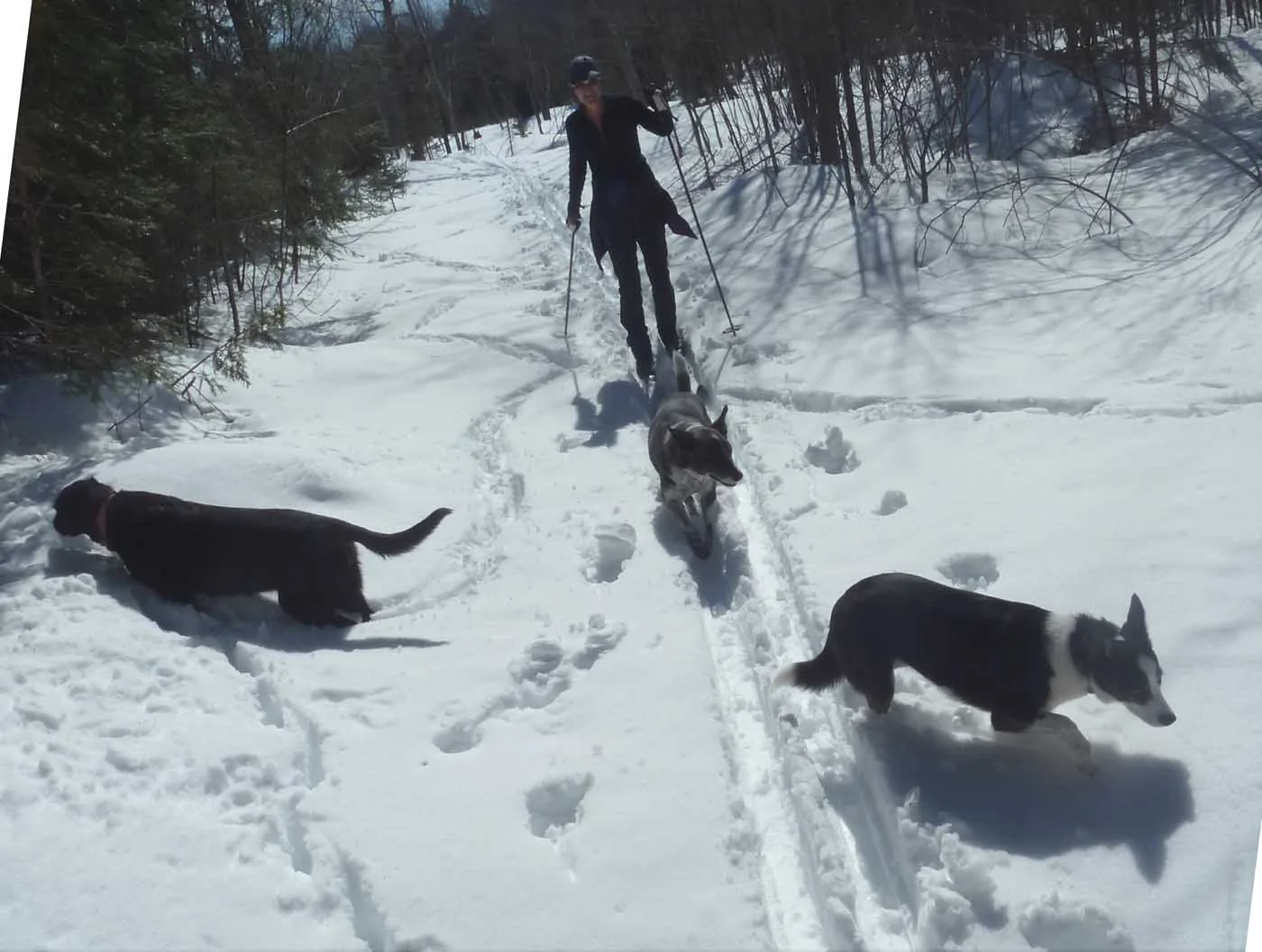 campski164.webp