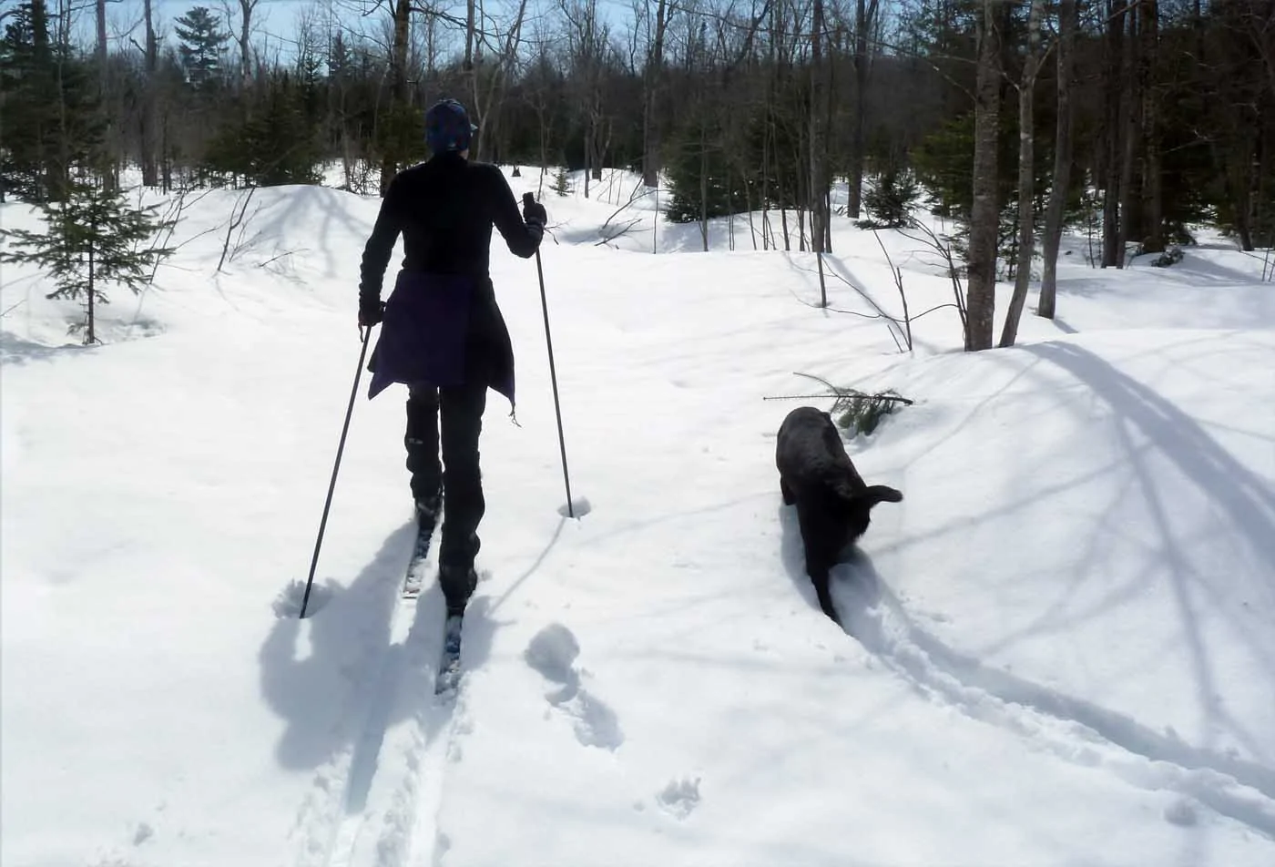 campskiswamp149.webp