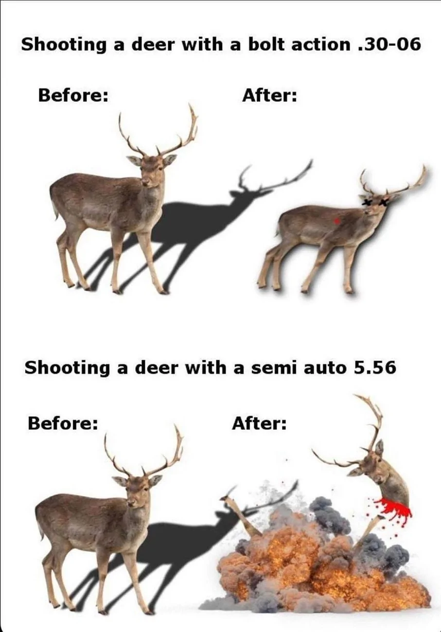 deer round.webp