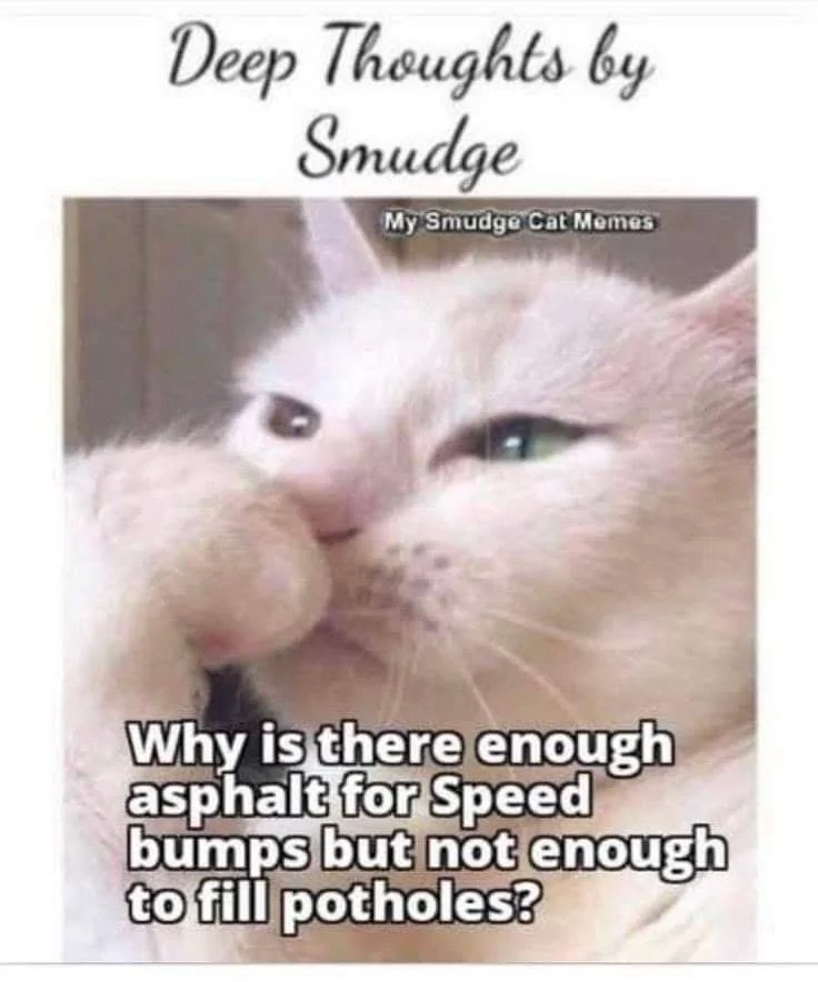 Speed Bumps.webp