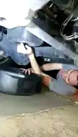 oil.webp