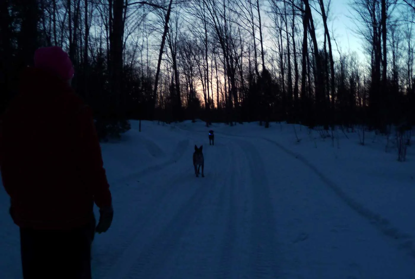 campeveinglight880.webp