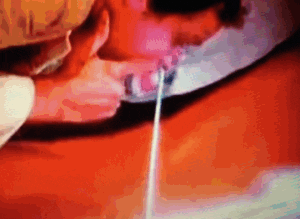 giphy (1).gif