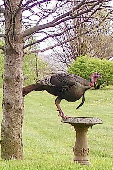 IMG_4970.webp