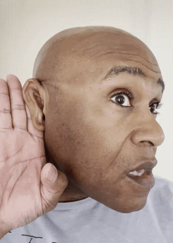 Excuse Me What GIF by Robert E Blackmon.gif