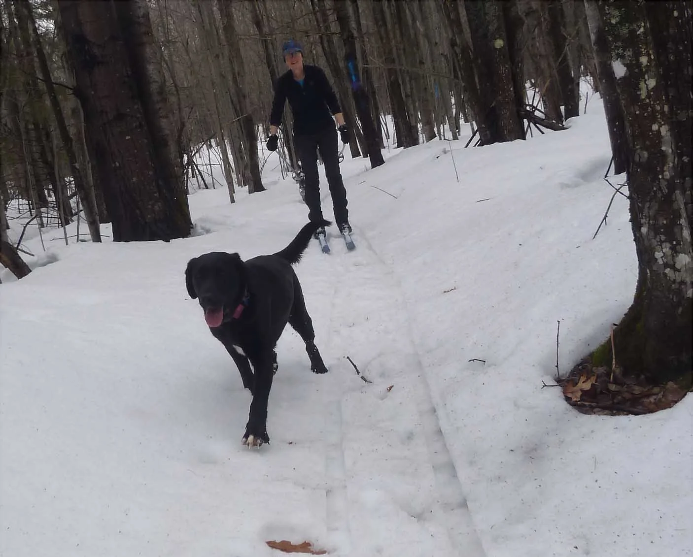 snowchas0517.webp