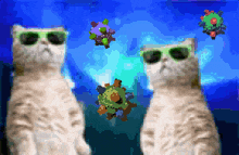 mcnyale-plongus.gif