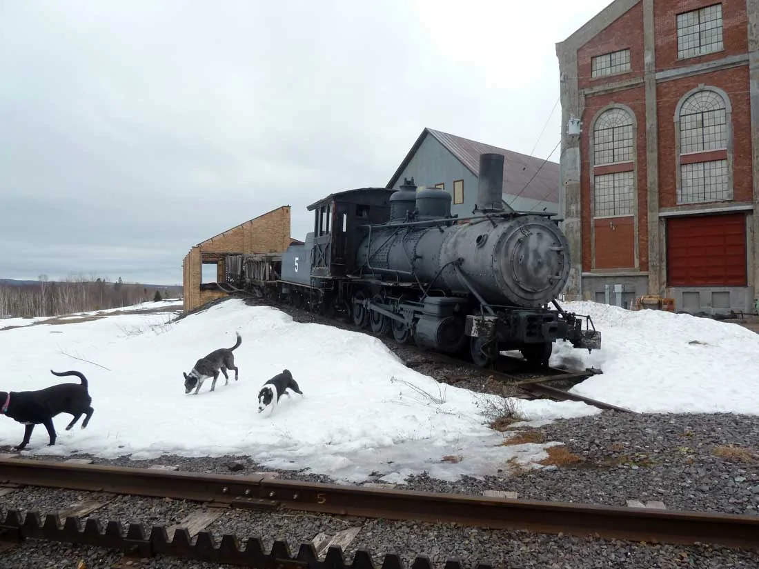 quincyski28.webp