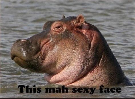 sexy.jpg