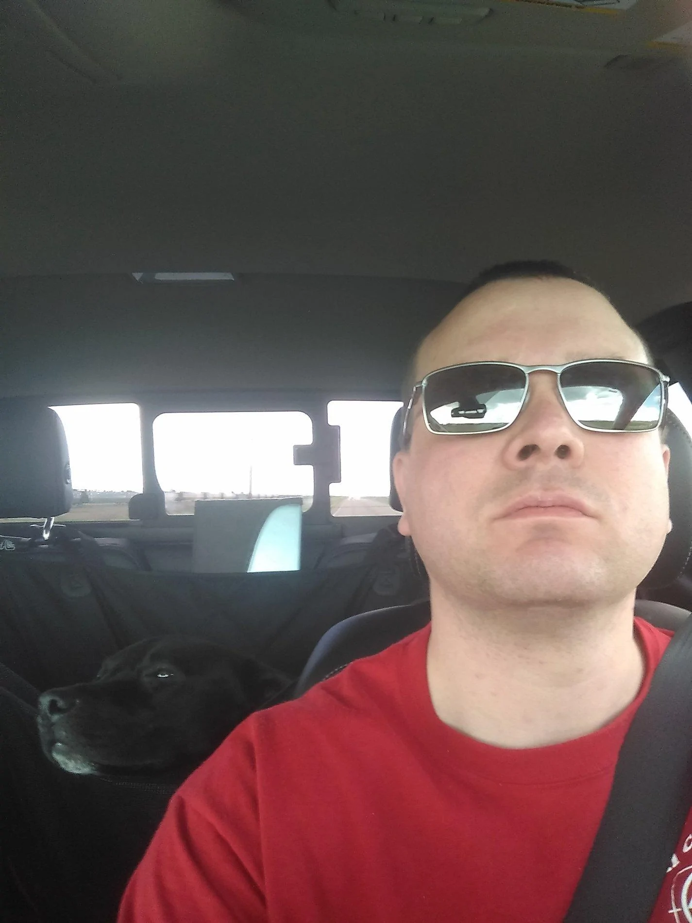 kimg0608-1-jpg.webp