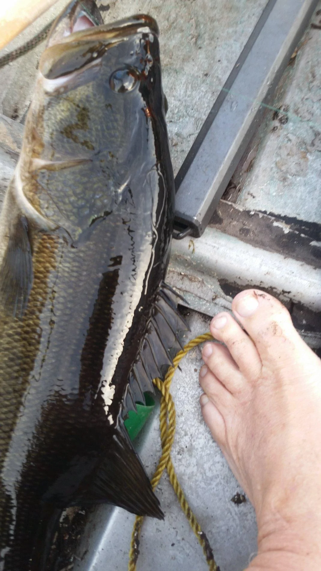 20191122_163537.webp