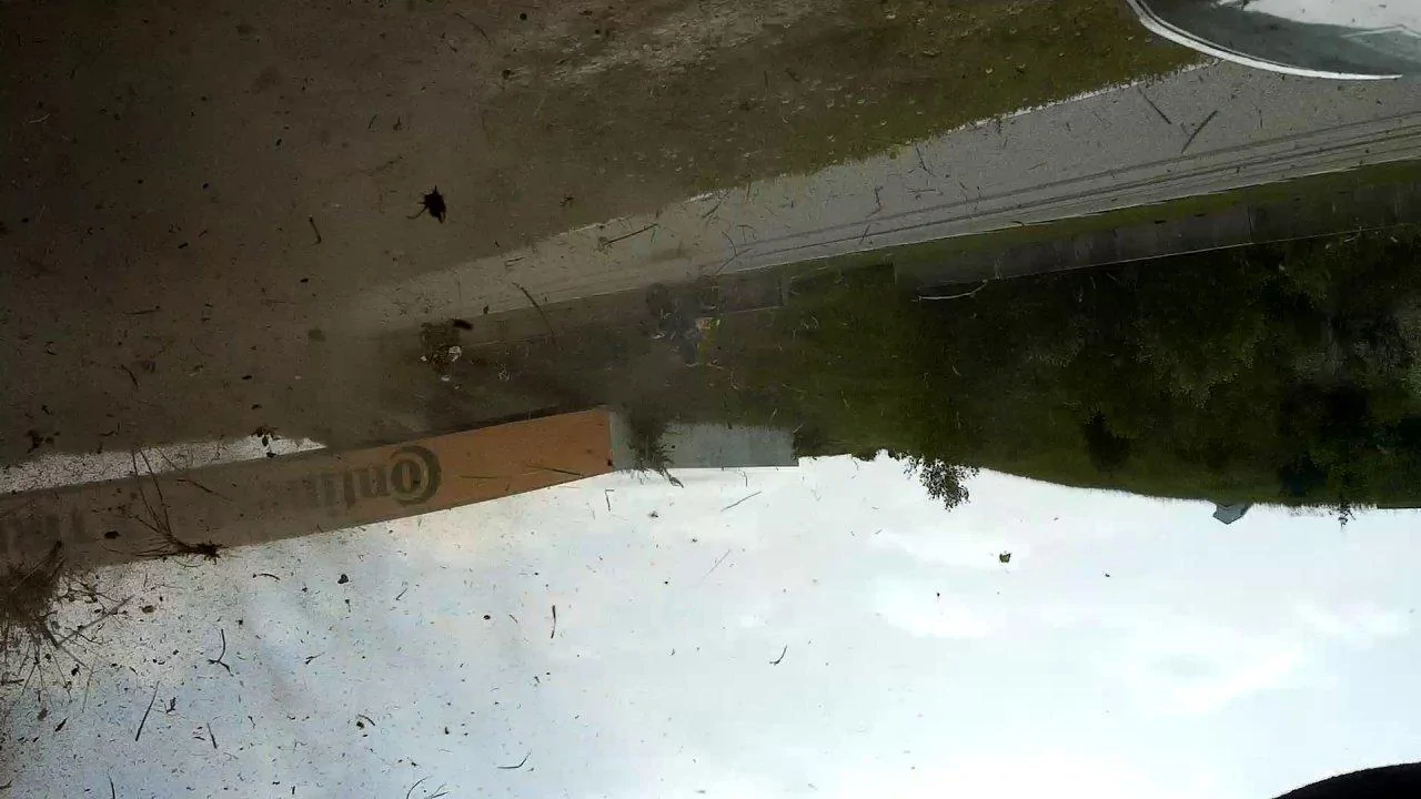 Rear_view_crash.webp