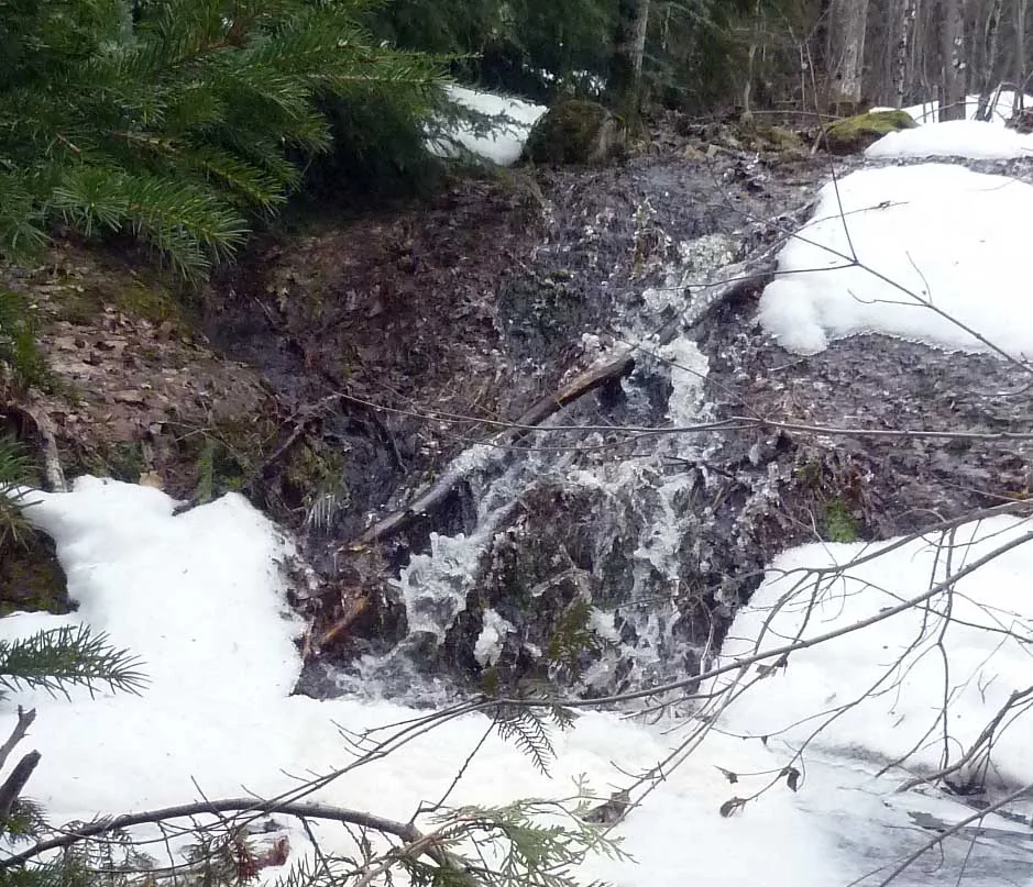 campwaterfall0643.webp