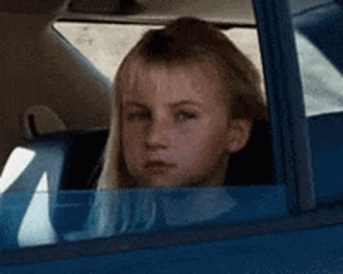 car-window.gif