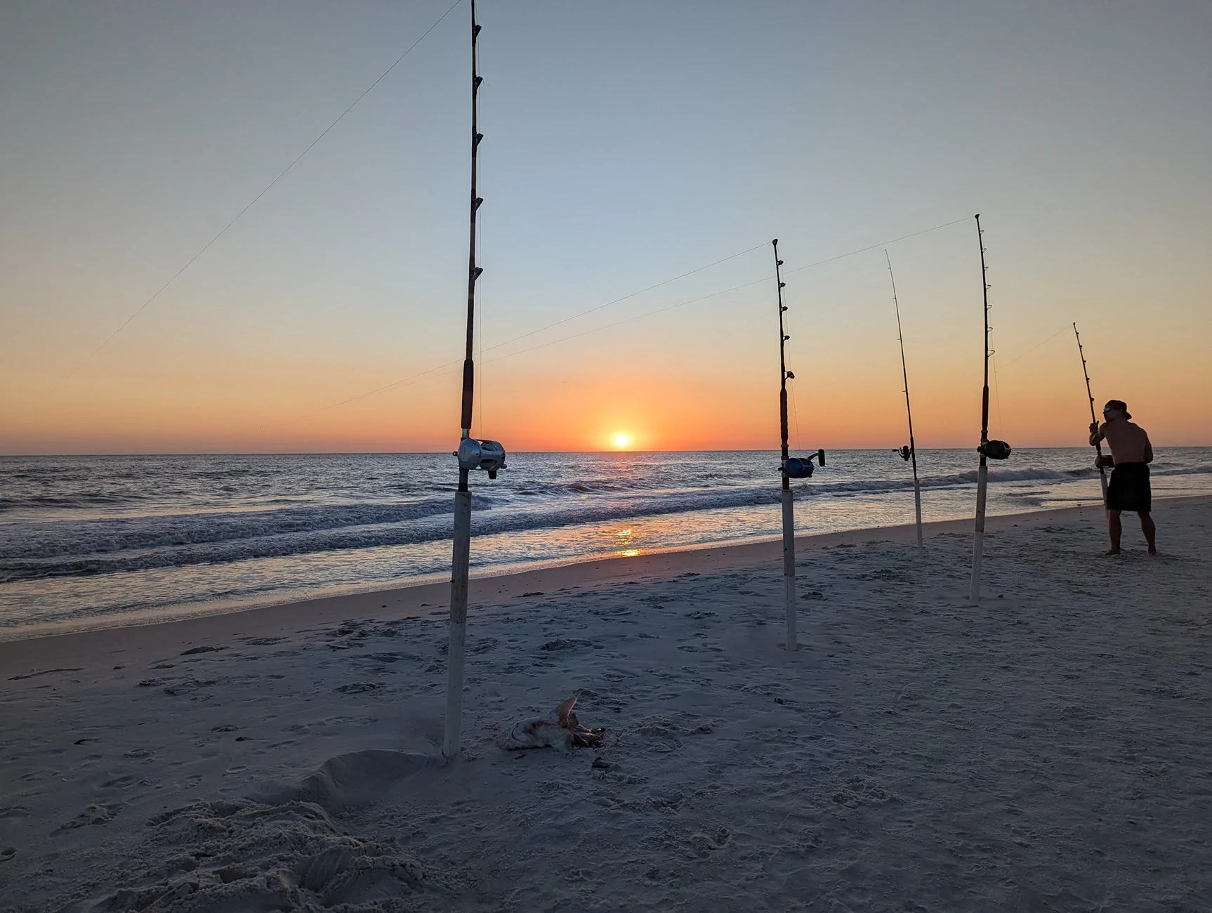 PXL_20260424_000821724.webp