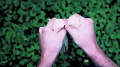 9m3.gif