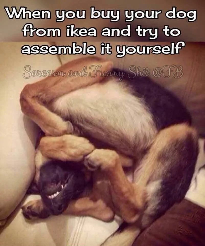 Ikea.webp