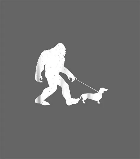 1777678707845-z2.webp