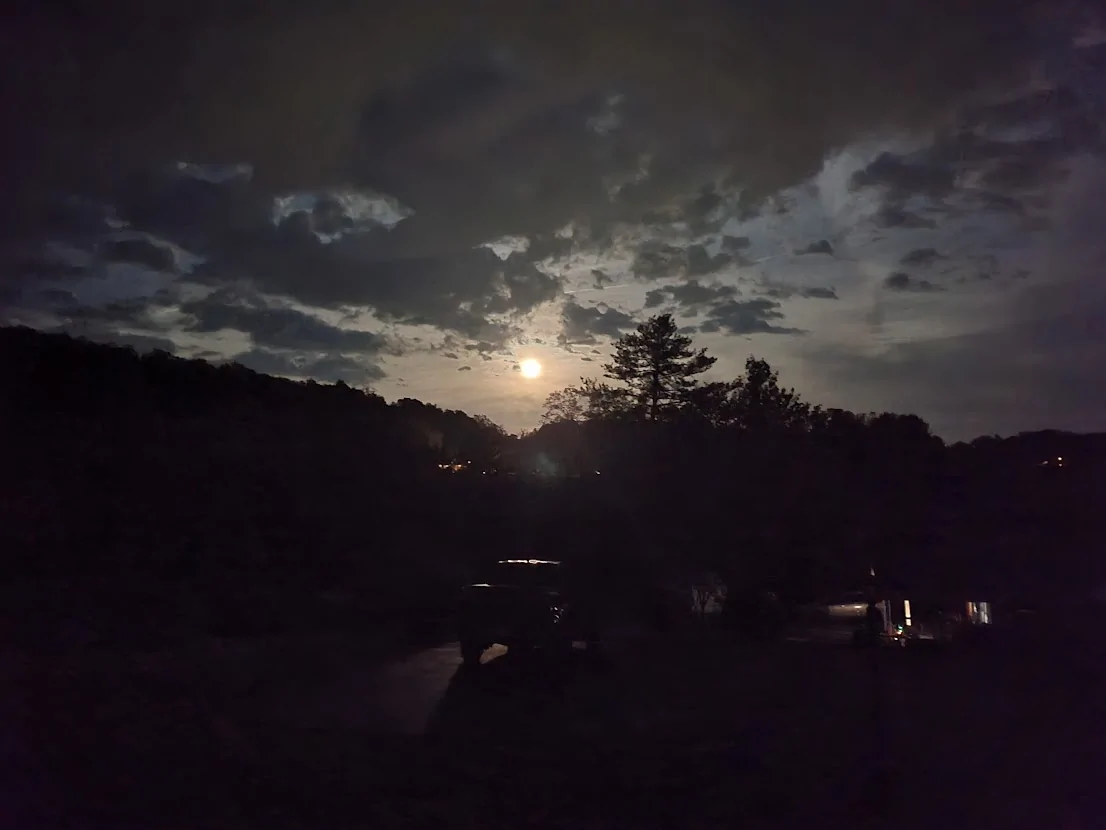 1777686054906-a5.webp
