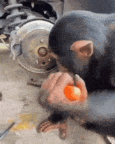 IMG_1665.gif