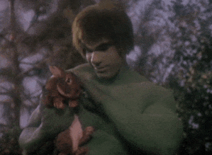 IMG_1667.gif